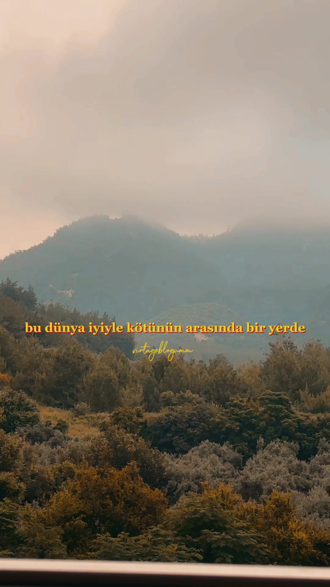 @𝗠.𝗬