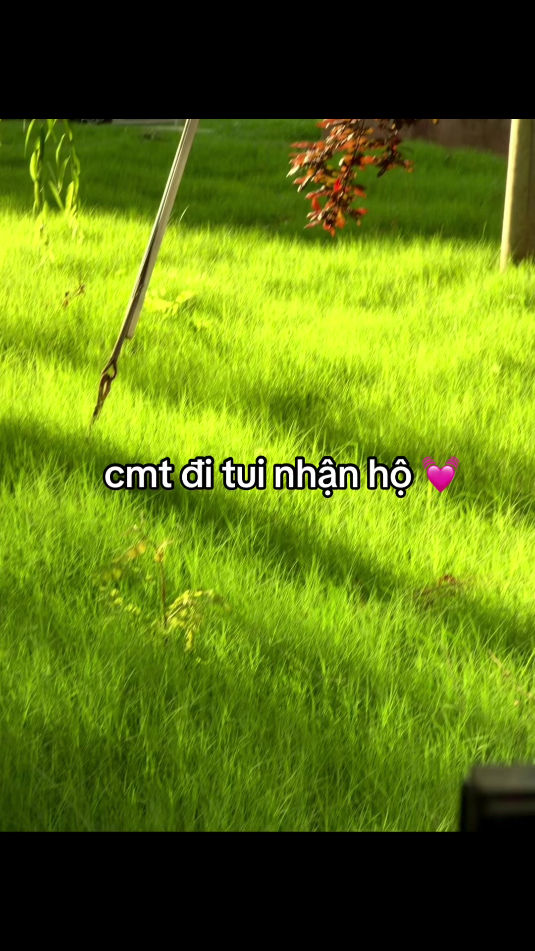 @mimi