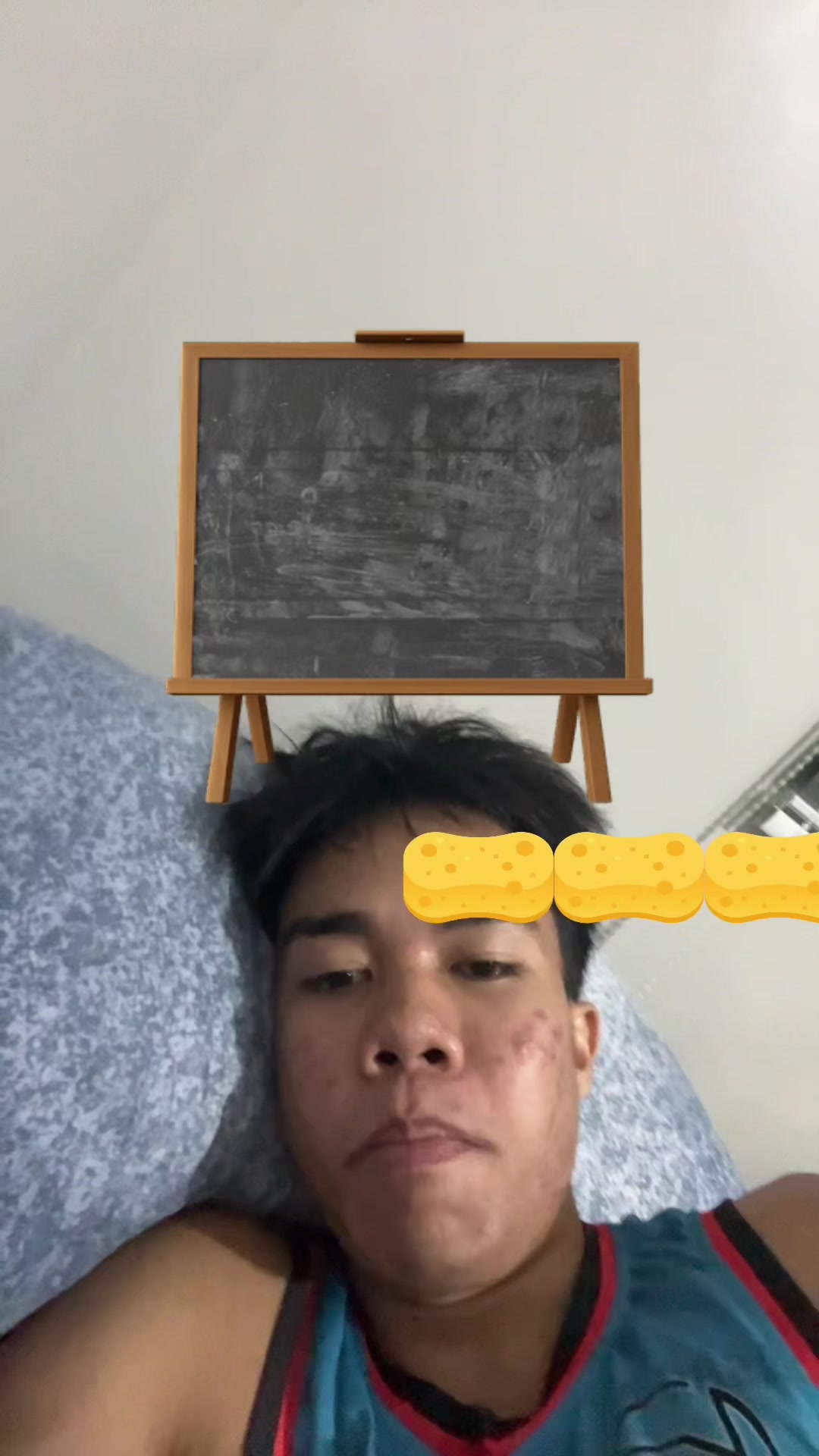 @pritonghatdogs
