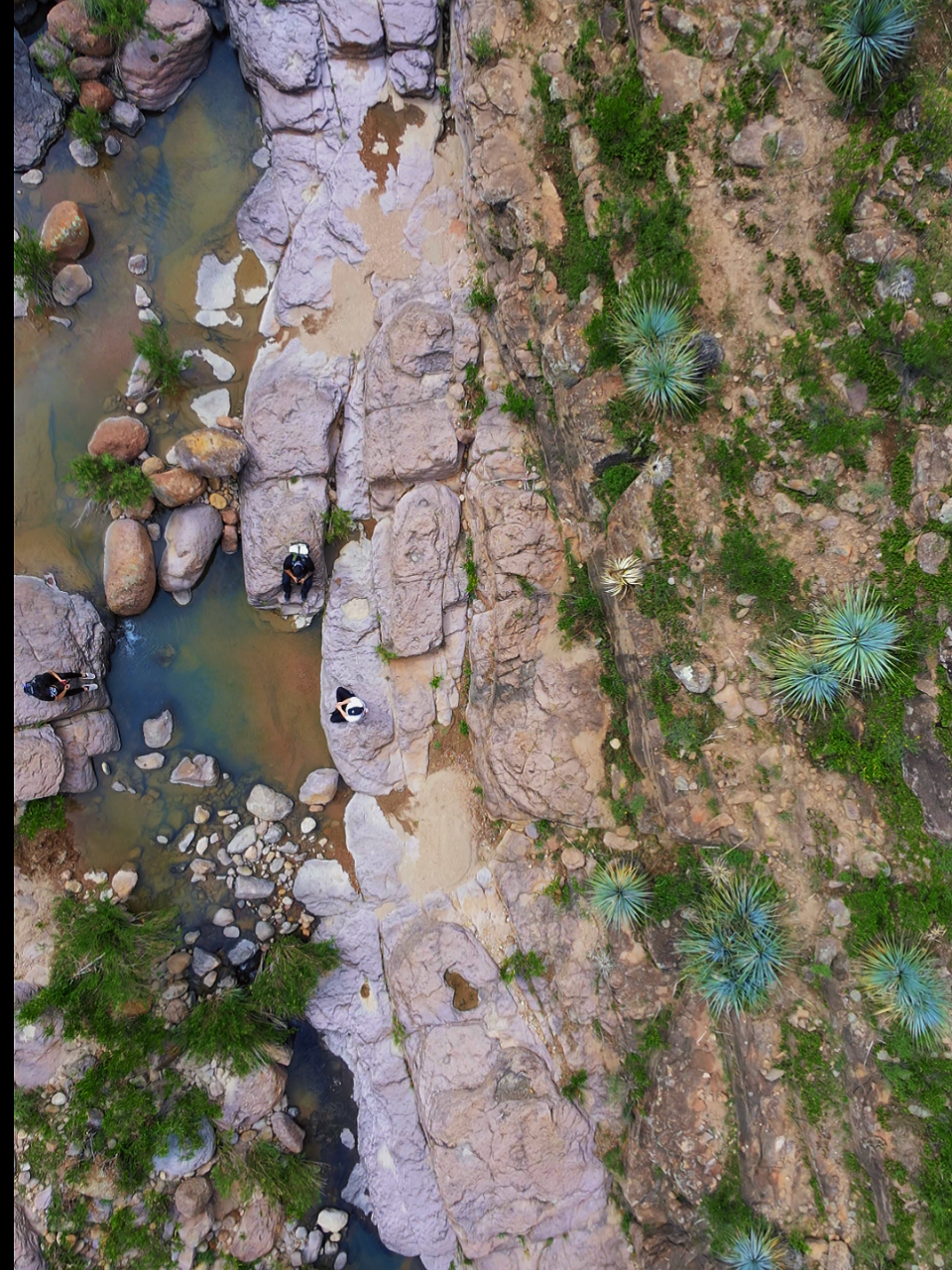 @Black Sheep Trail