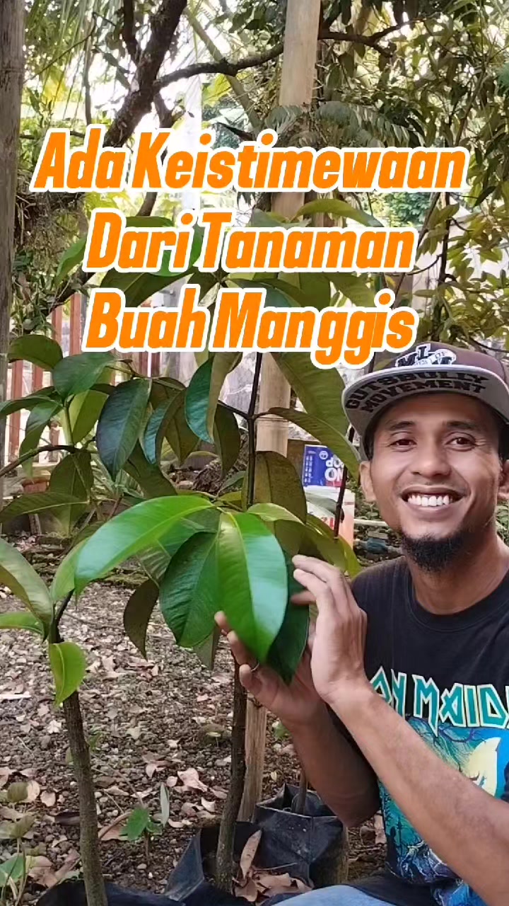 @Bukit Farming