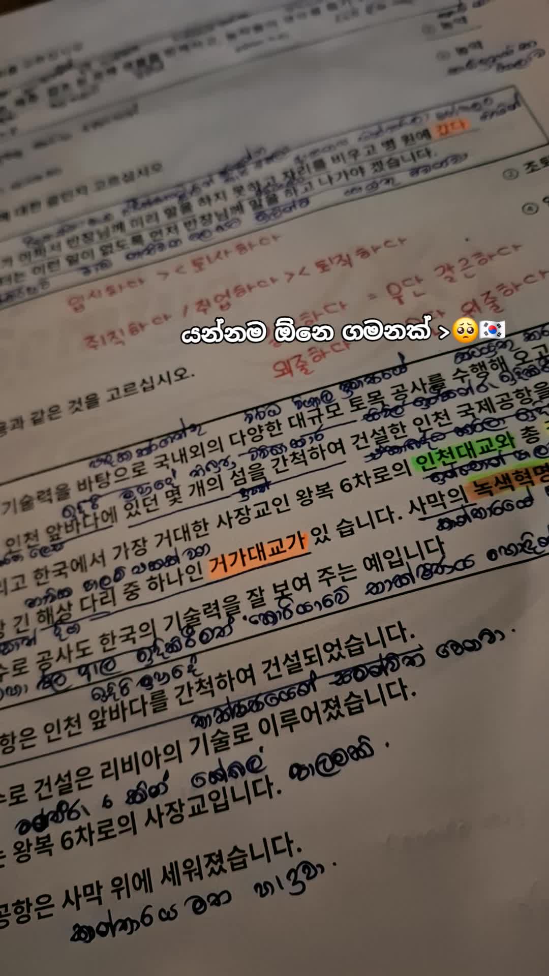 @🇰🇷KOᖇEᗩᑎ_ᗪᖇEᗩᗰ_GIᖇᒪ🇰🇷