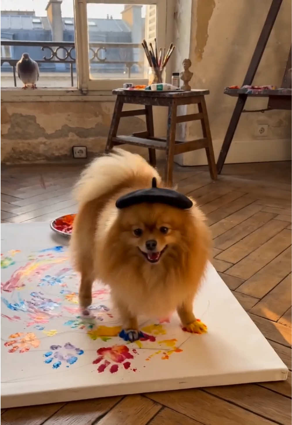 @Gangsterspitz