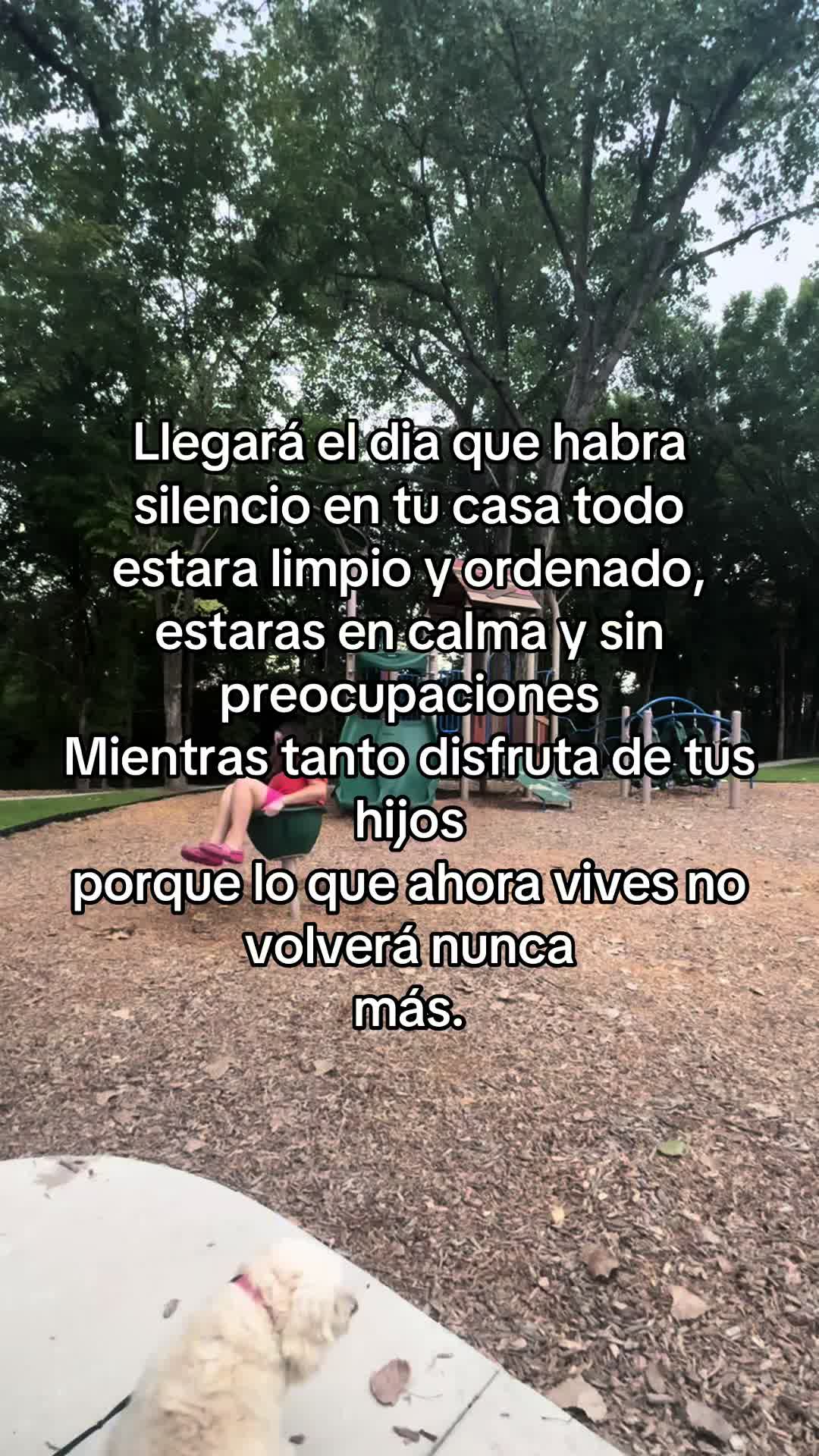 @Diana Castillo