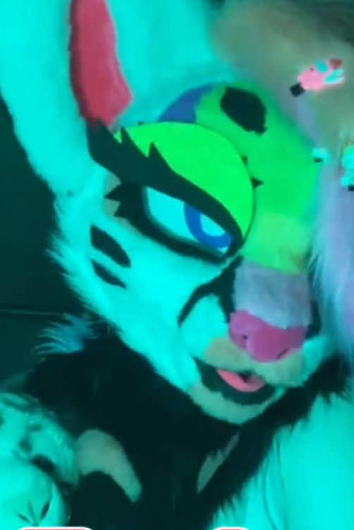 @Liger~Liger🐾🍉