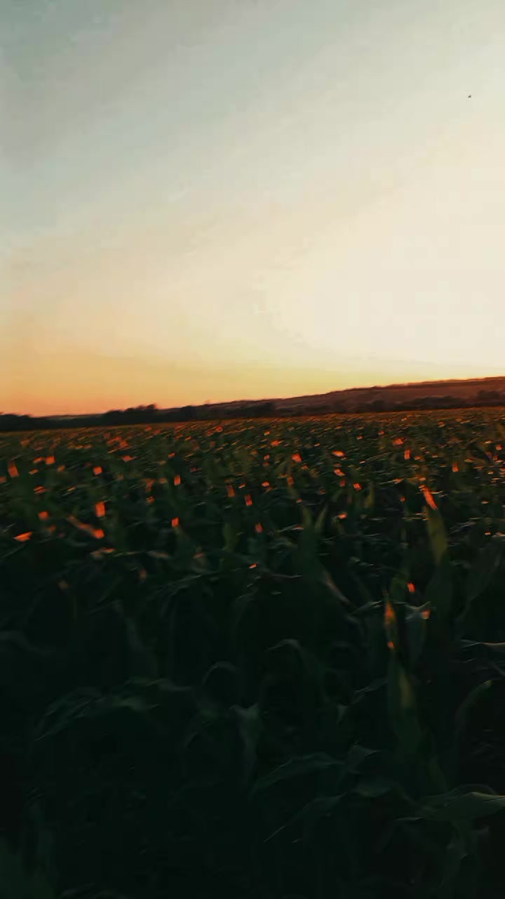 @кишка ссср