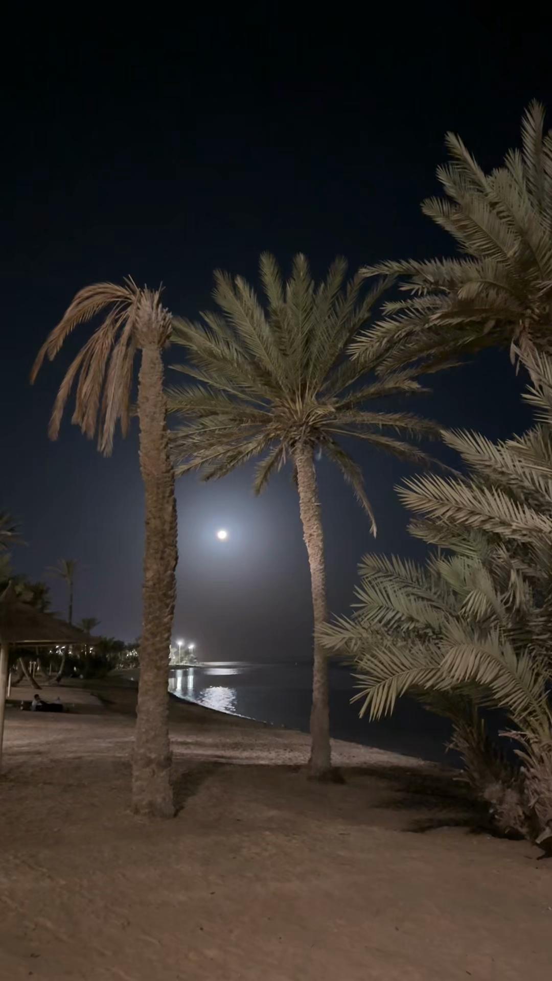 @مـاجد الحربي