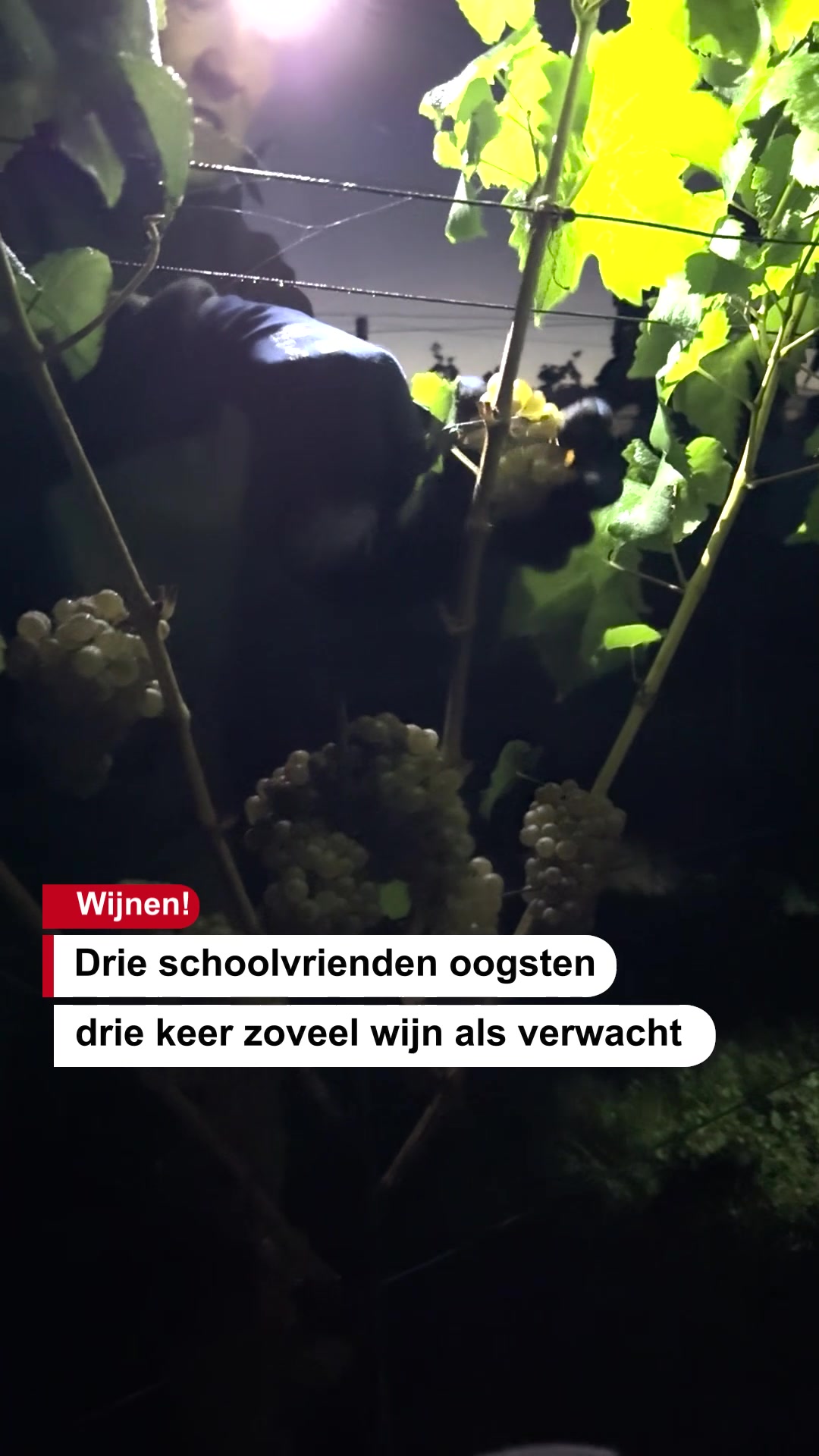 @De Stentor