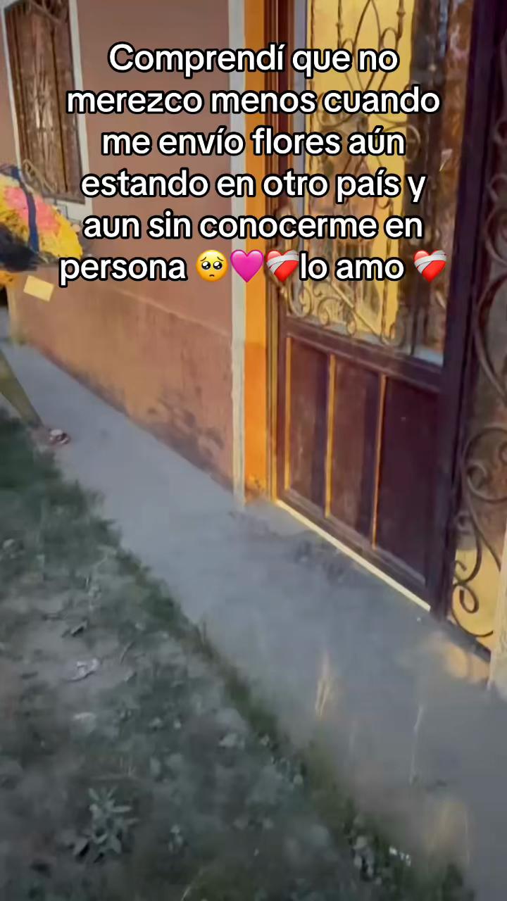 @🦅🩷 𝓥𝓮𝓻𝓲𝓽𝓸 𝓡🦍🤍⚖️🐕