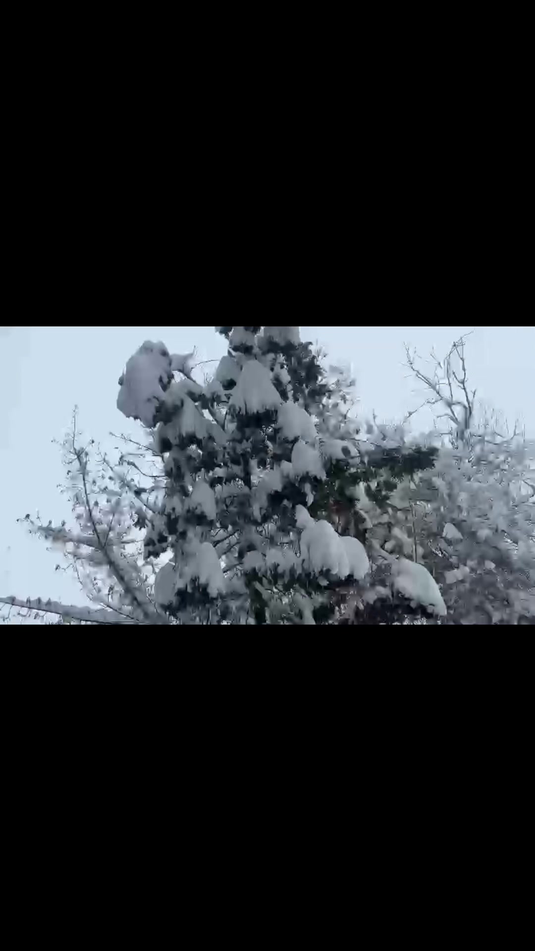 @Zhibek