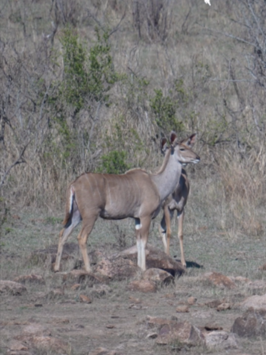 @Madbookings Travel Namibia