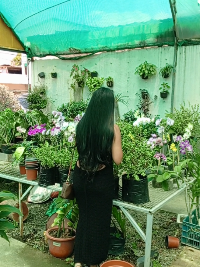 @KMAL