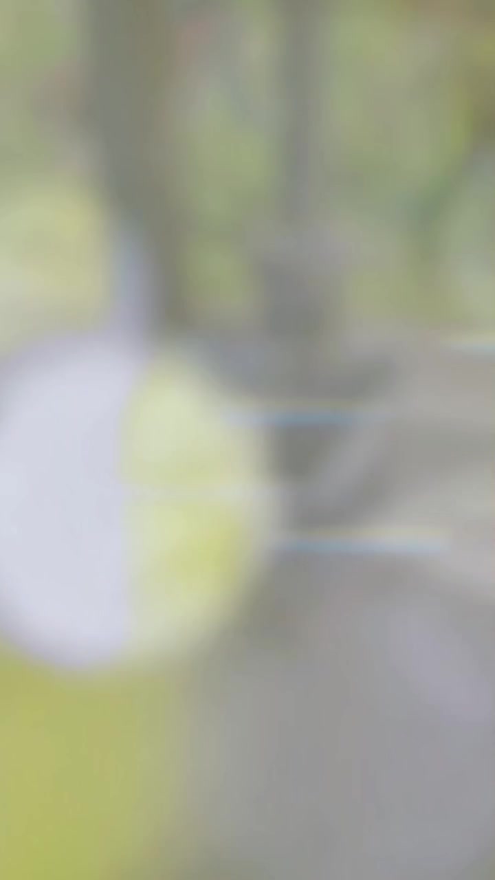 @๐ฆ๐ผ๐๐น๐ป๐ผ๐
๐
๐ฎ