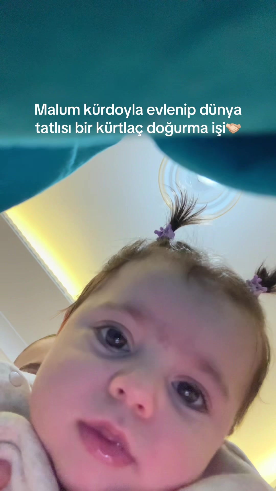 @dogagnccc