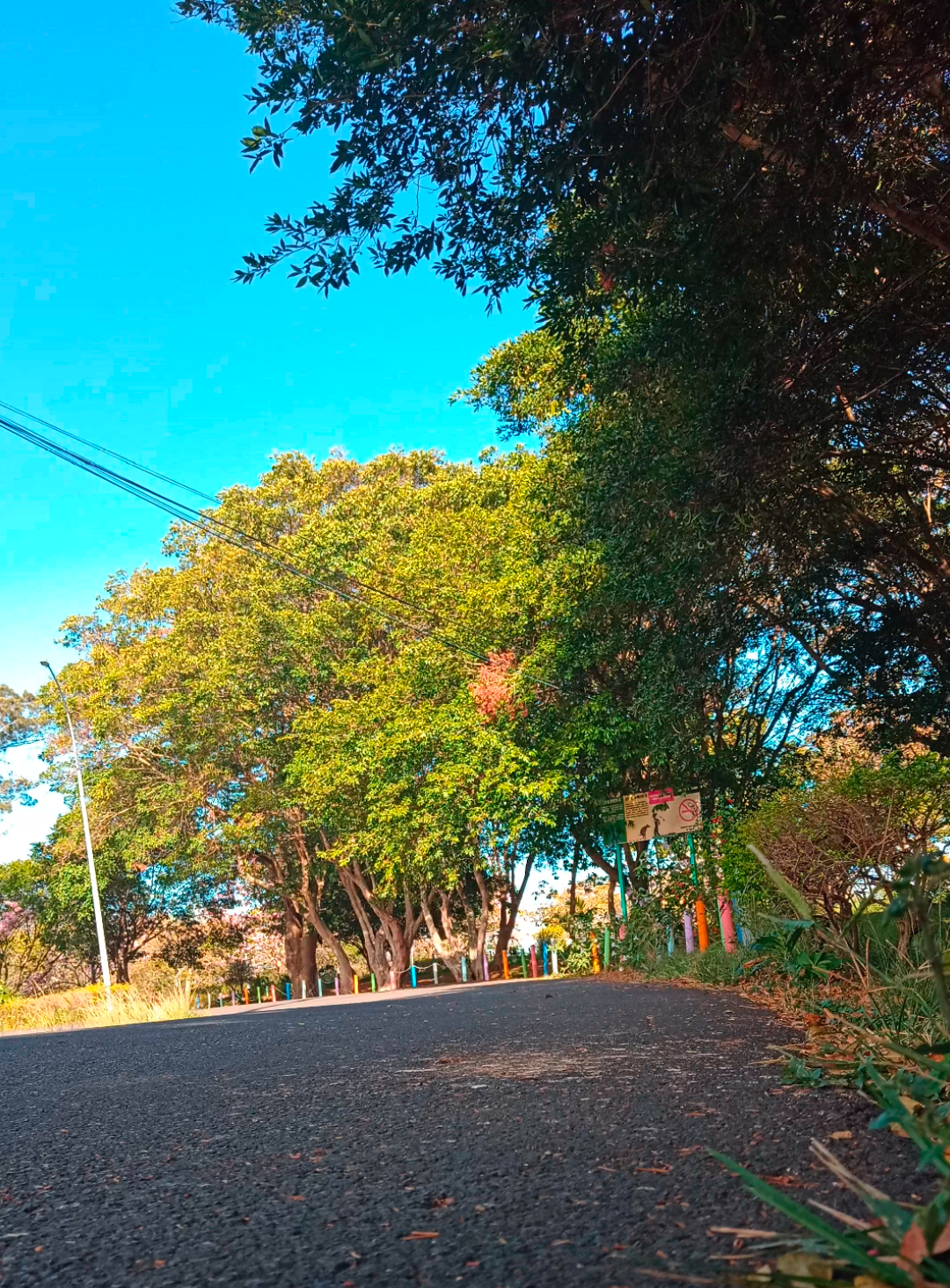 @Kim Jaen