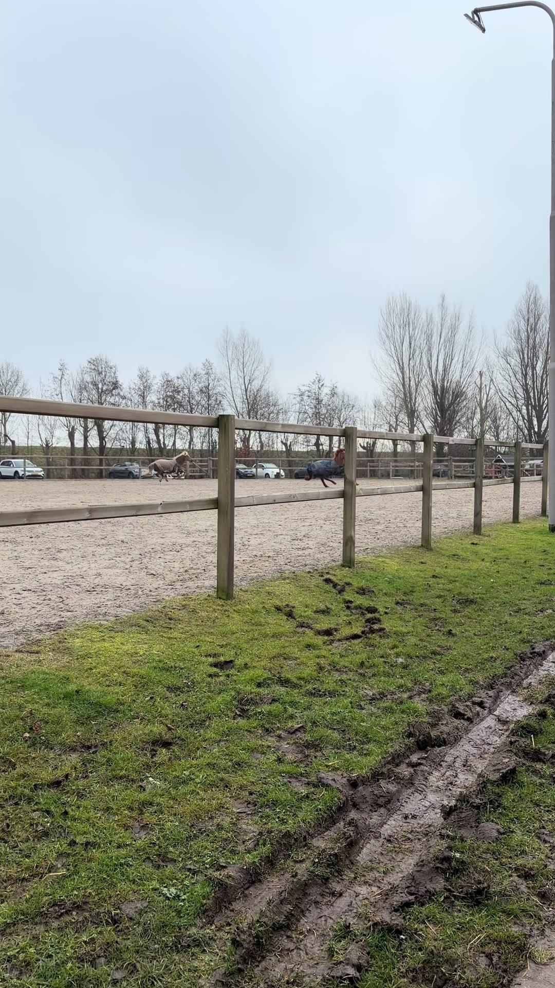 @Hippisch Centrum Dordrecht