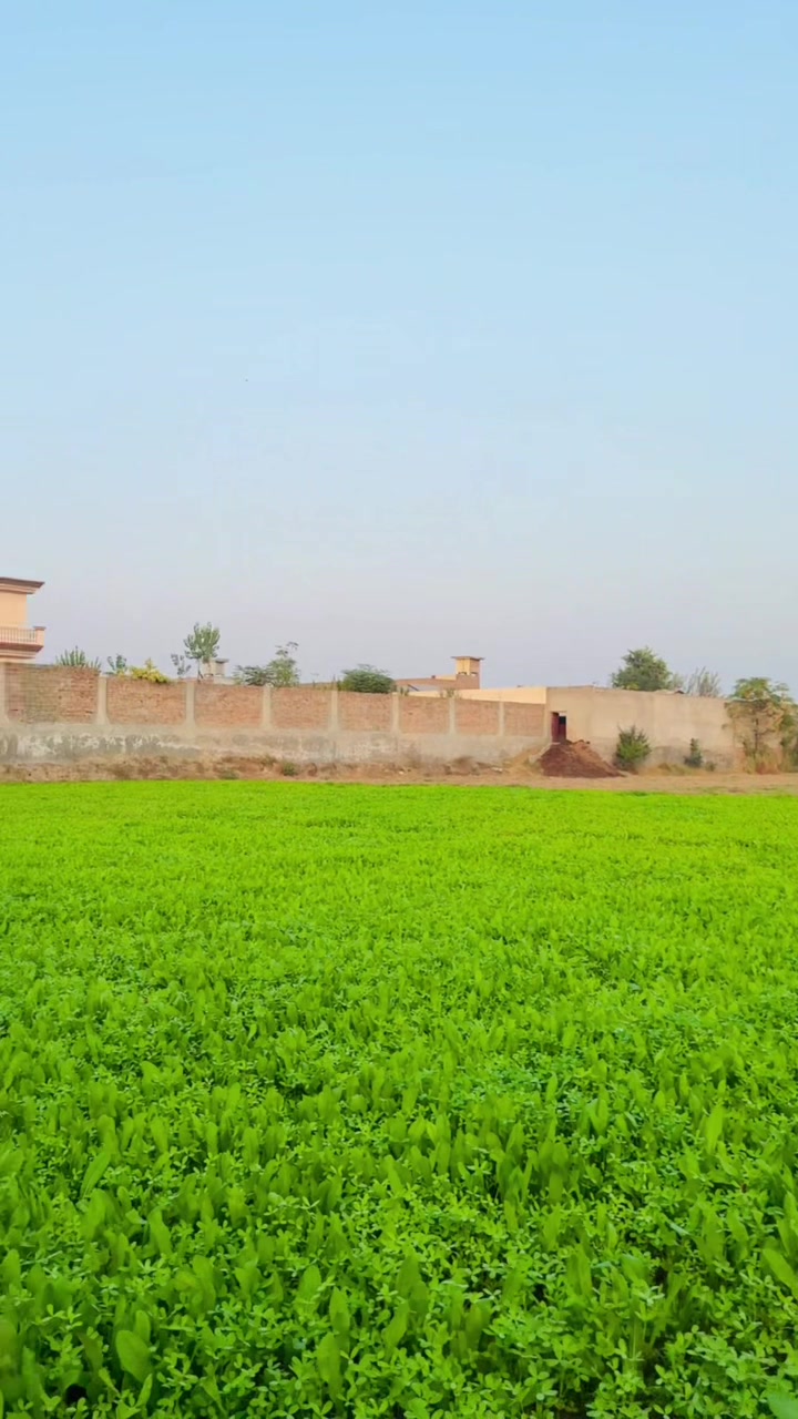 @Peer Zain Ullah