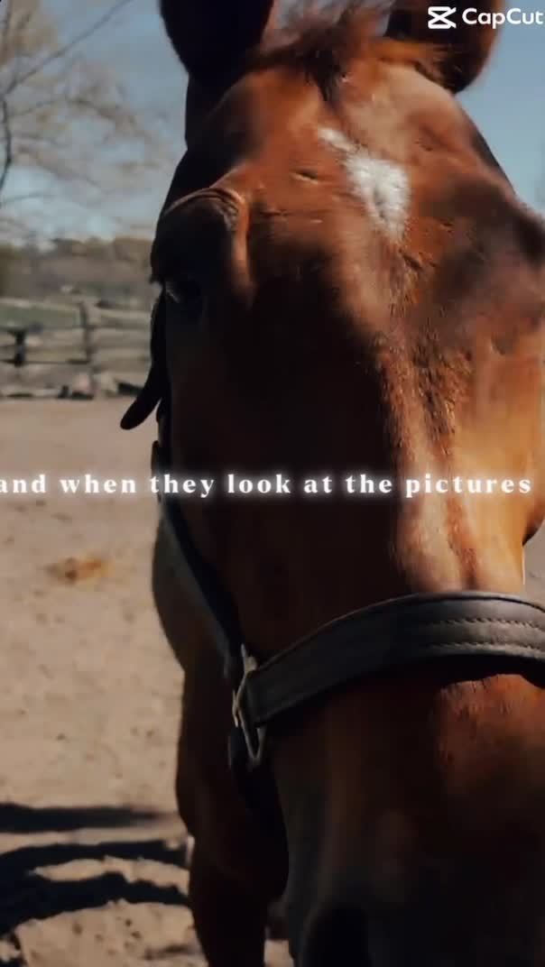 @keria_🌻🏇🏽💕