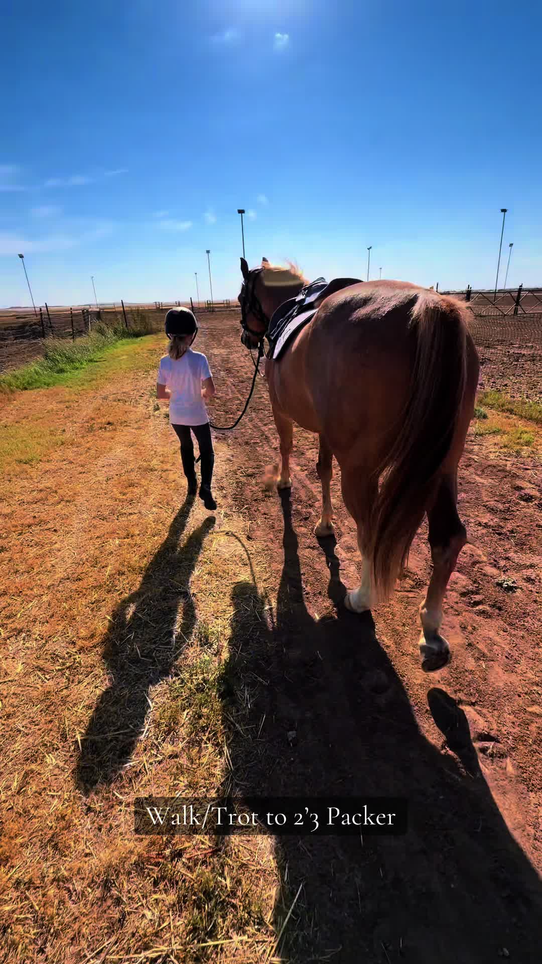 @Grace Equestrian TX