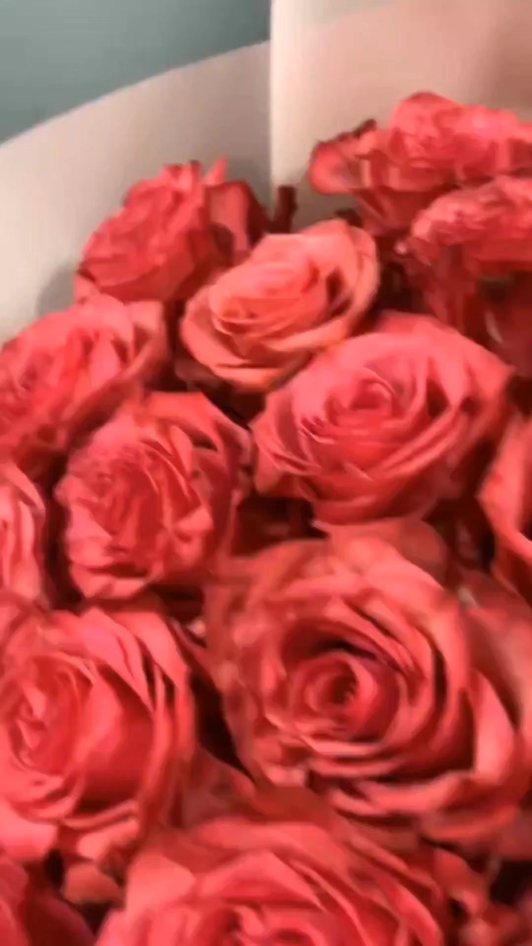 @Dominika