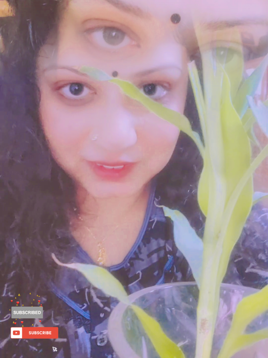 @shilpatoby