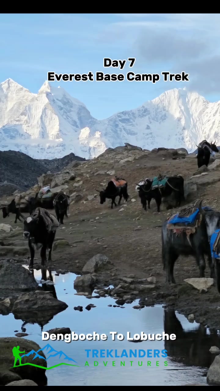 @Treklanders Adventures