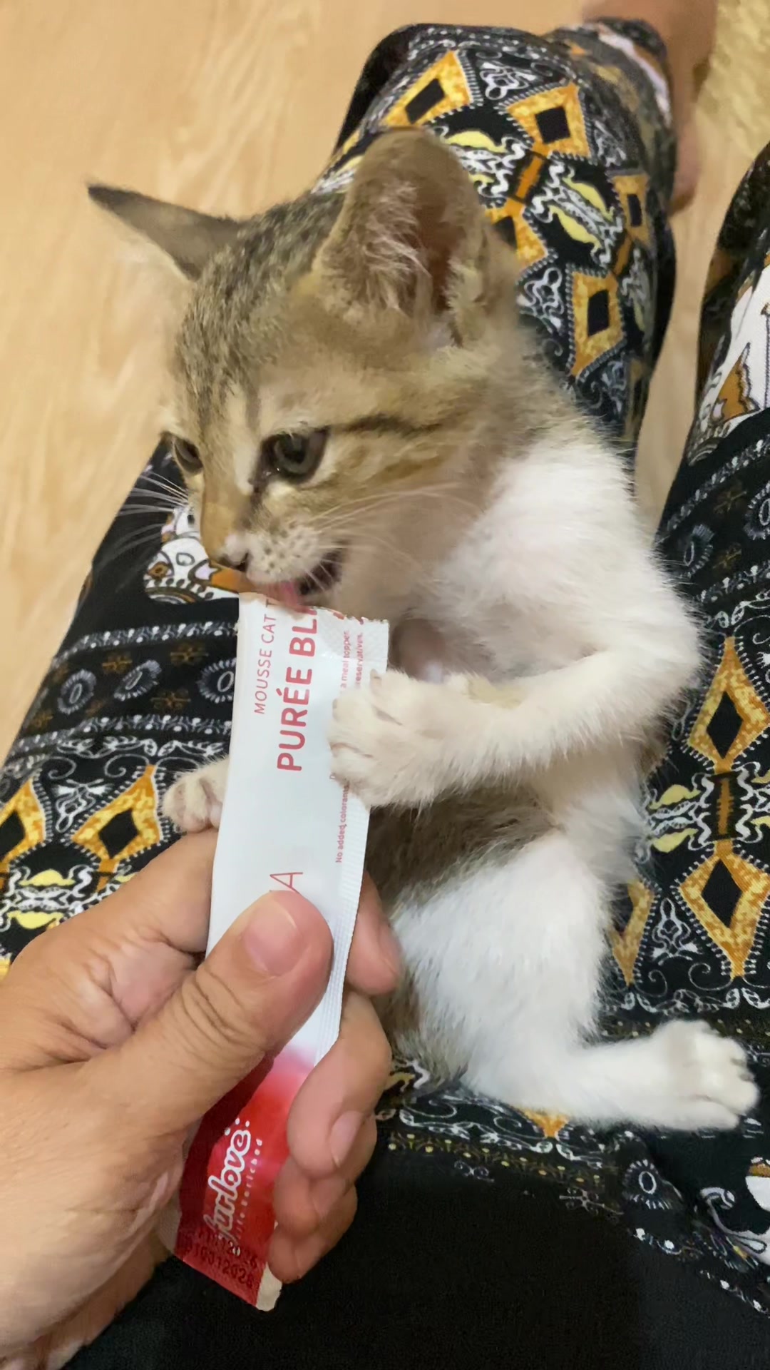 @Arwen & Pets