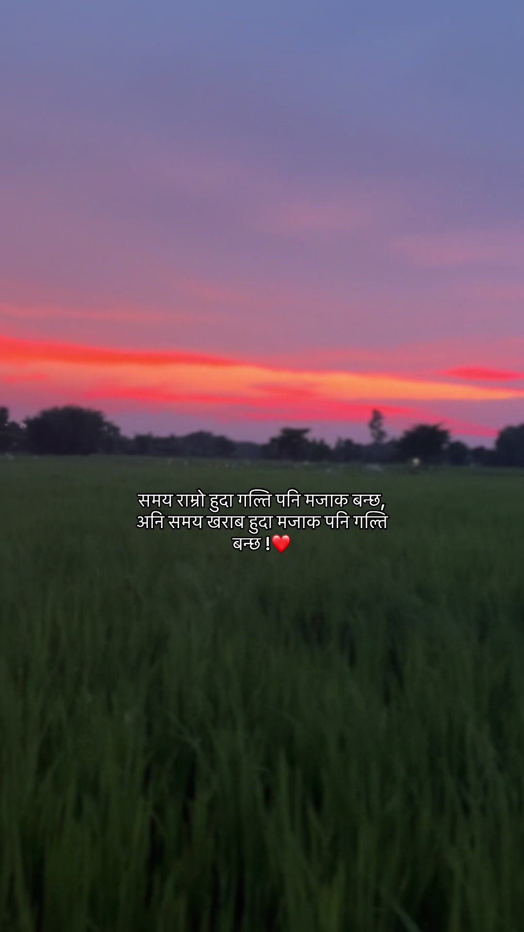 @🌷