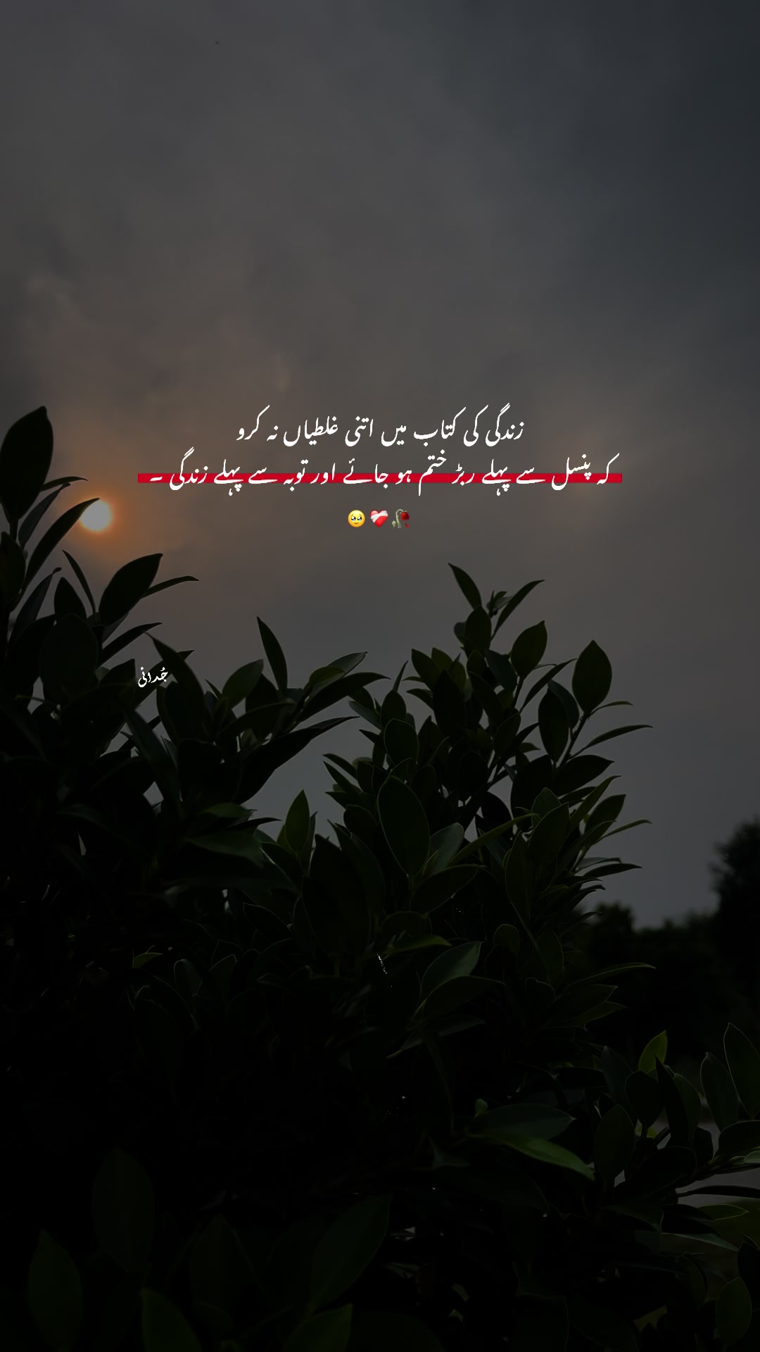 @𓆩 Aabi 𓆪