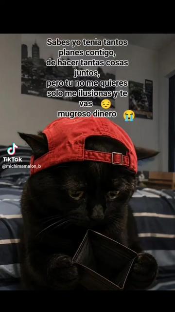 @~LuI&sect;~EL Unico 😁😁😆