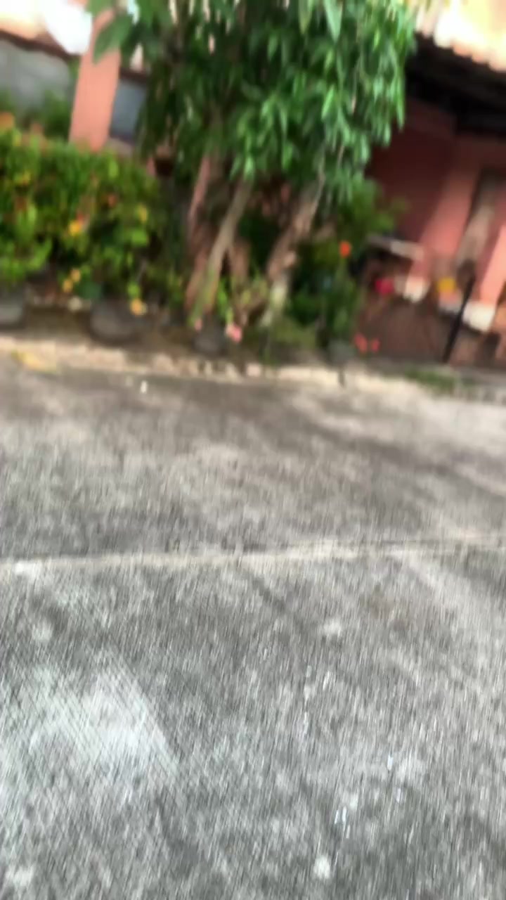 @_curtss