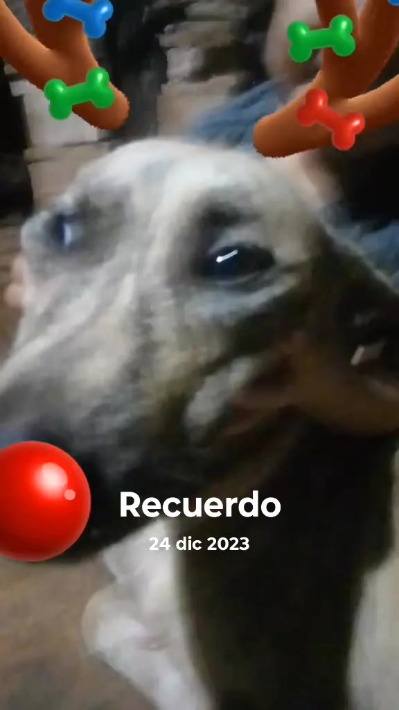 @🍓🧸tczule❤️😘