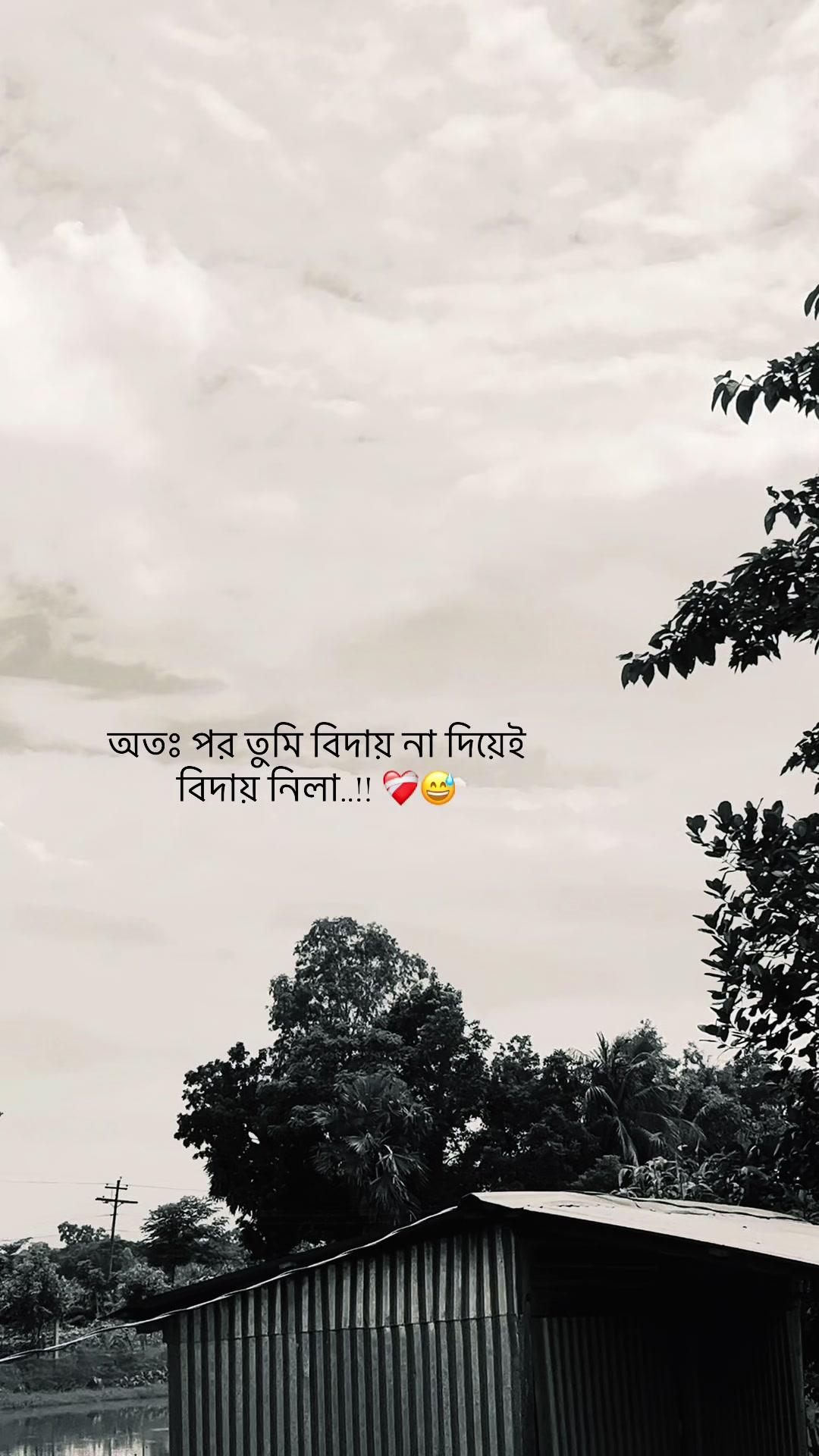 @đŗī¸A Z I M đĢ