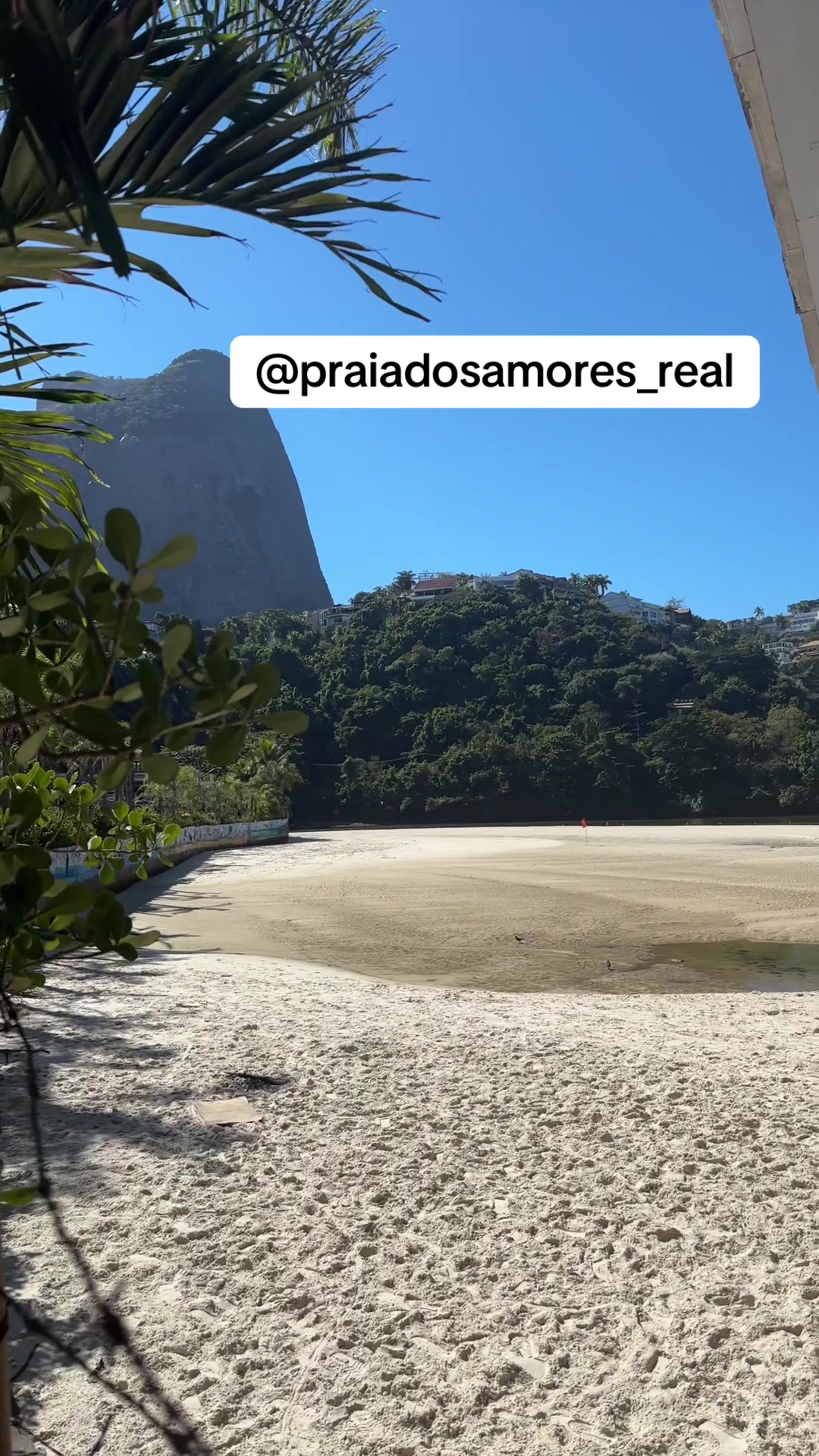 @Praia dos Amores Real