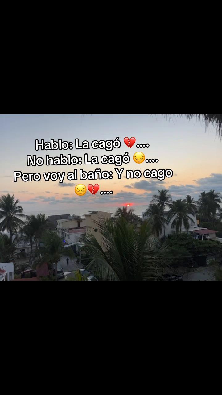 @️Lio(Pibble)