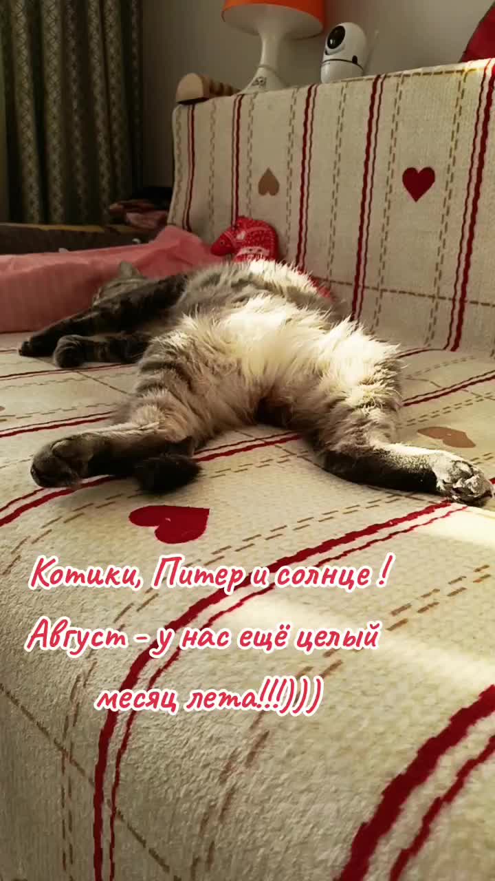 @user2278096979685
