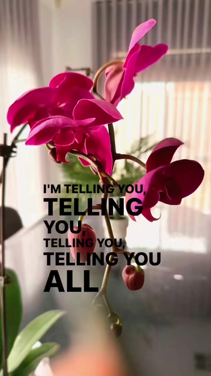 @Geet