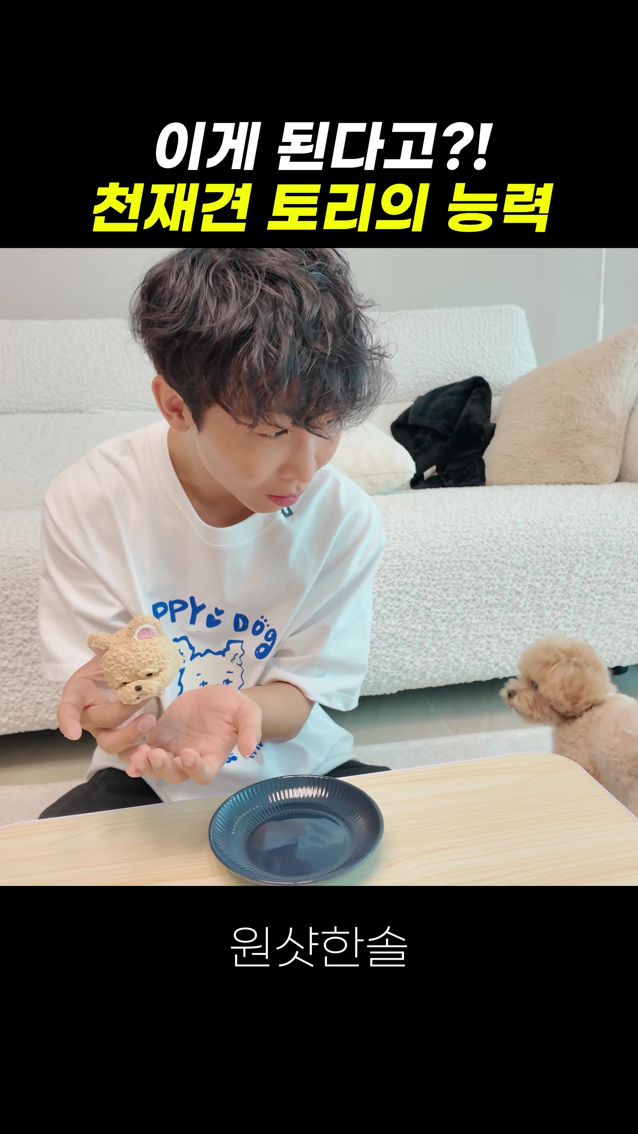 @원샷한솔