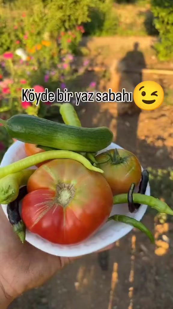 @Sessizlik