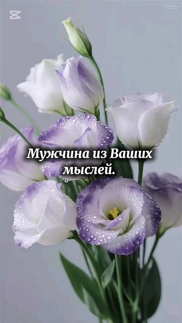 @Polli