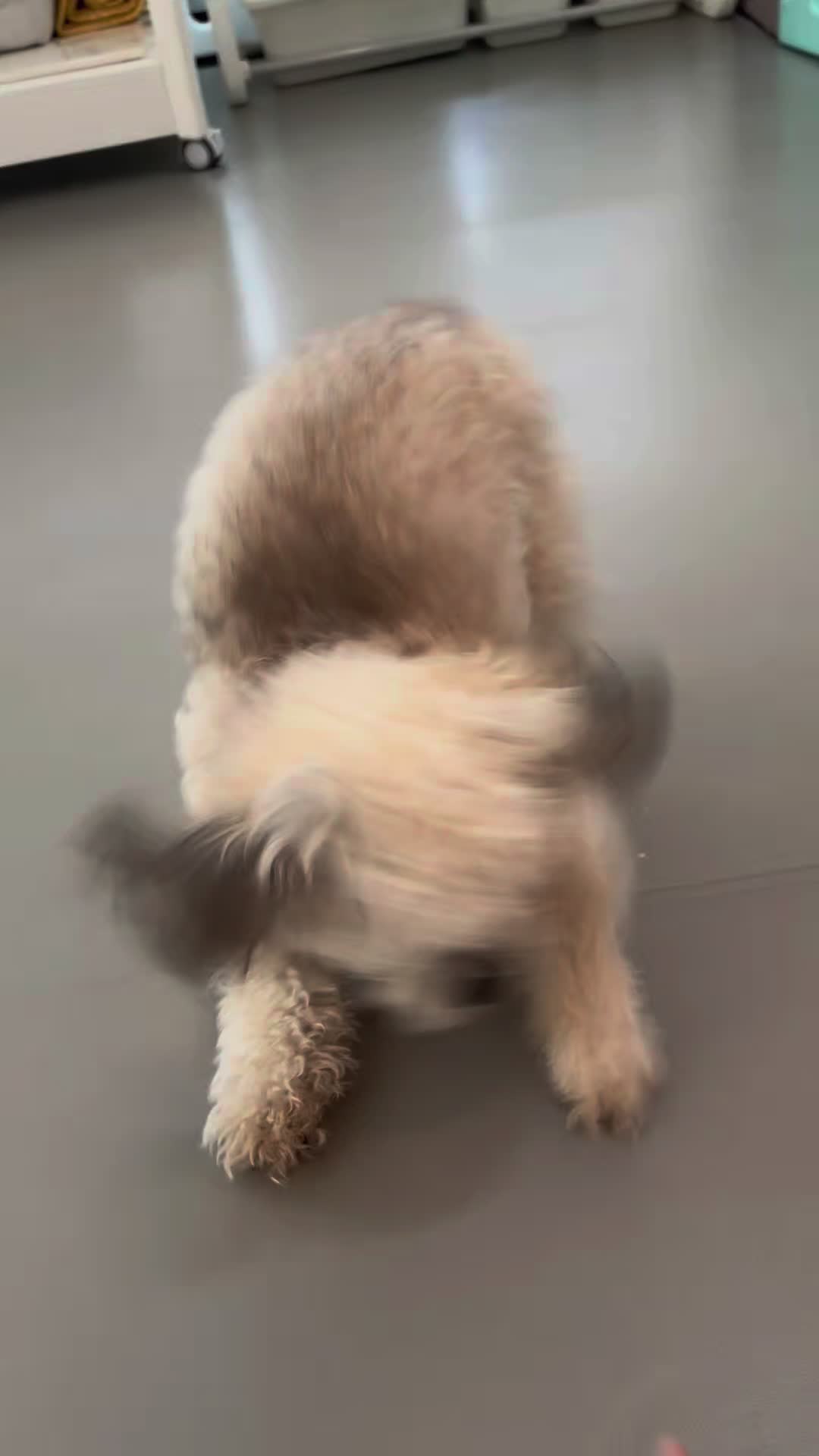 @토토엄마