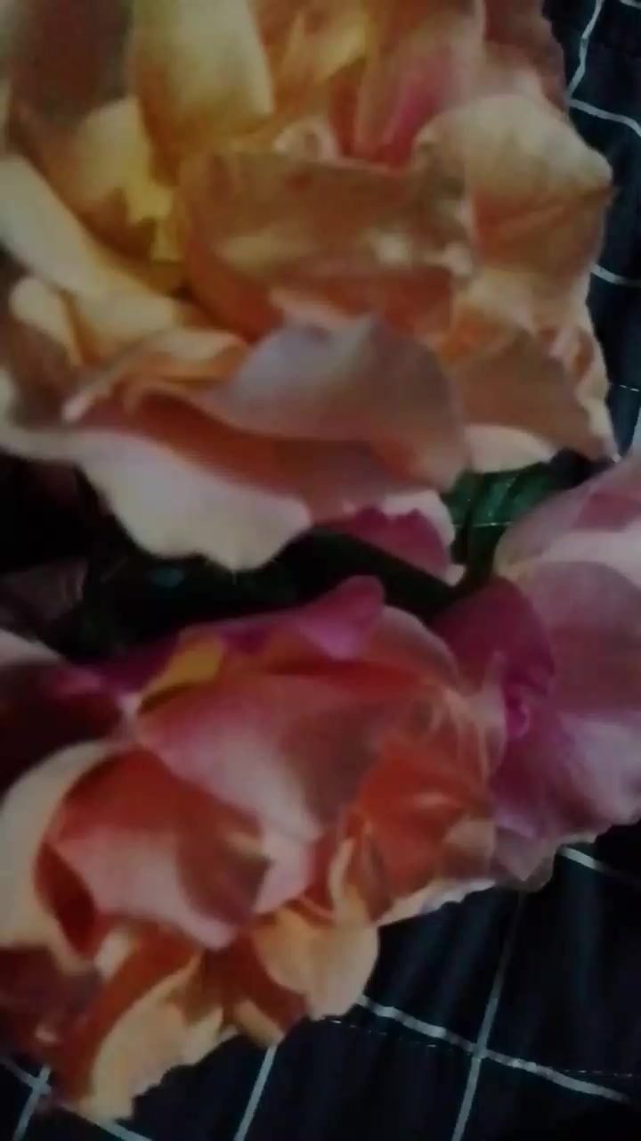 @🍎ERKA 💋Qız🤞🌼🌼🌼🌹🌹
