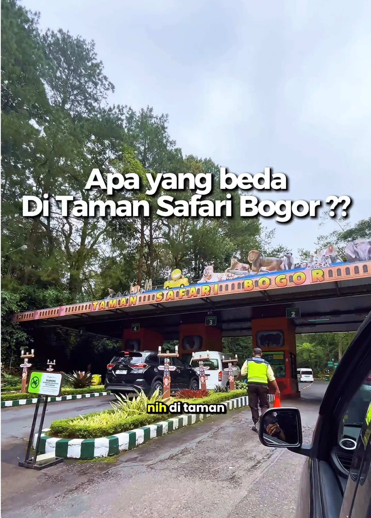 @hildaayp