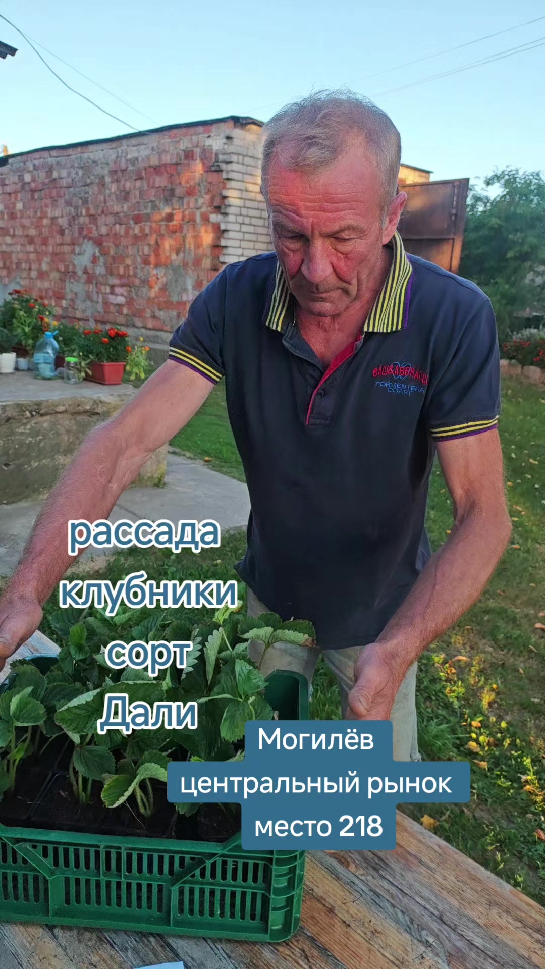 @Картофель Могилёв