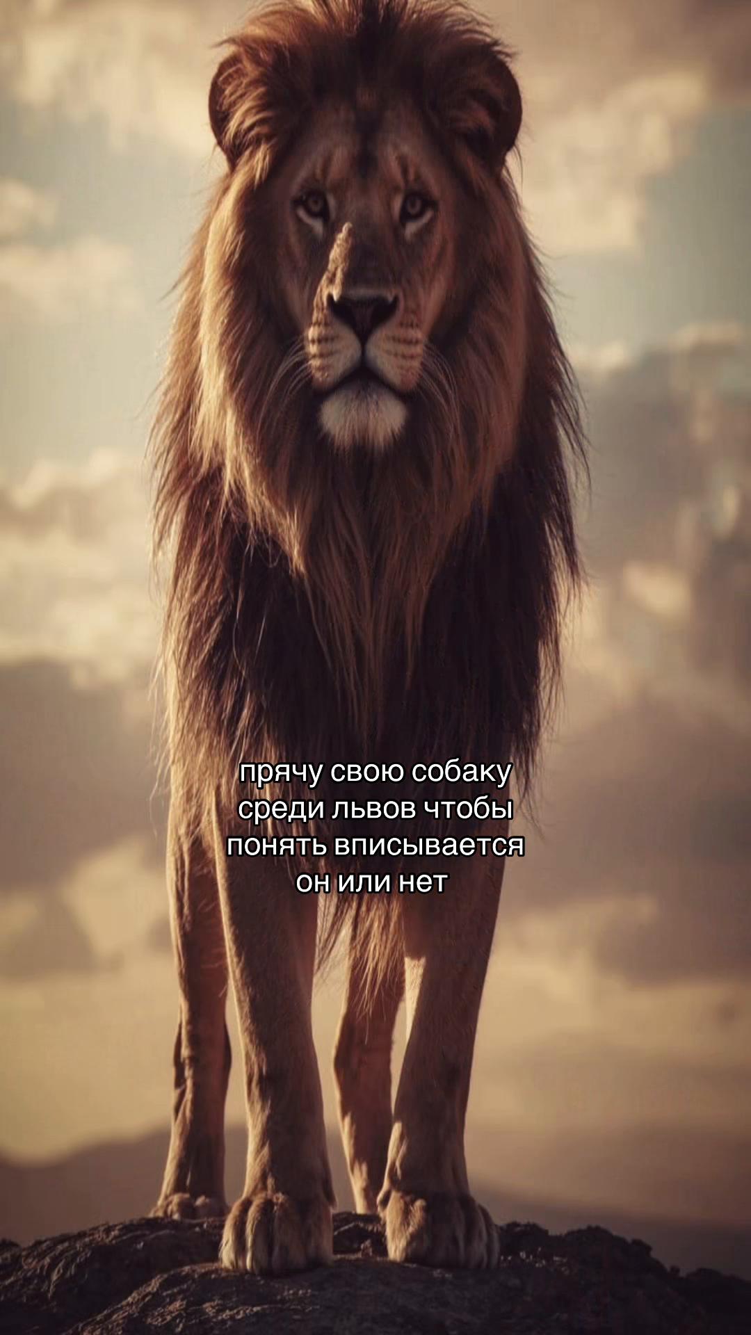 @by amali