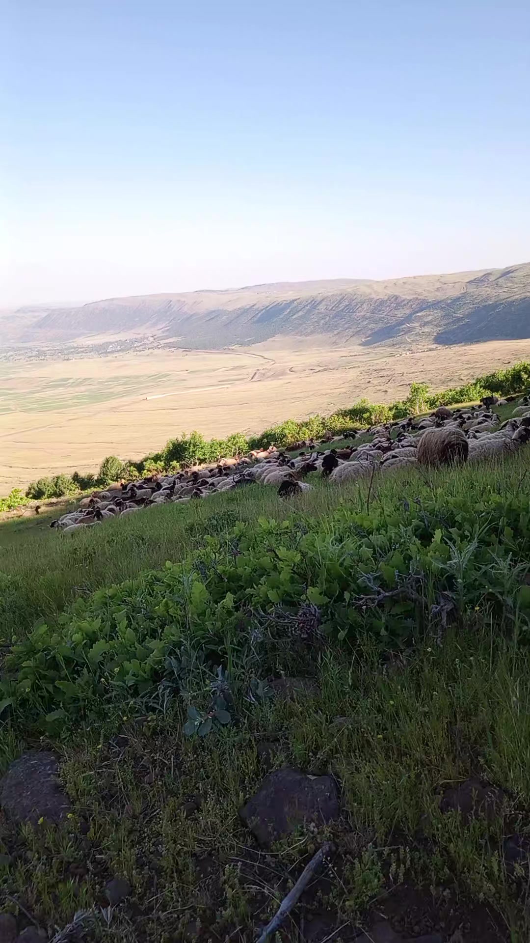 @Kasım