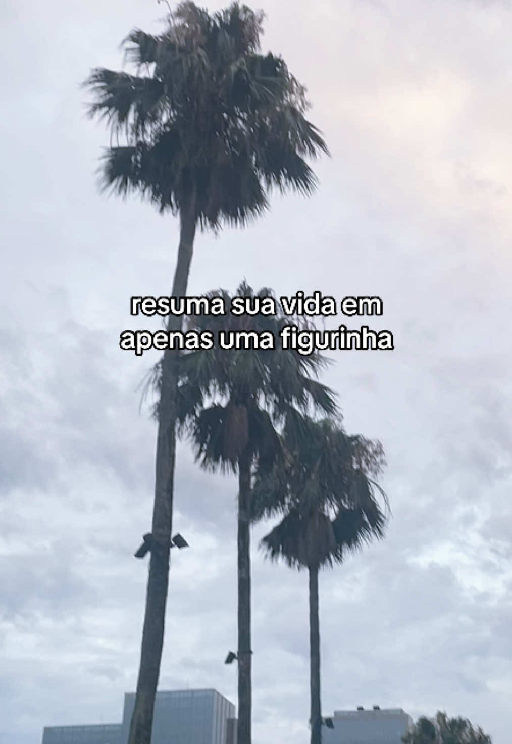 @lelexx