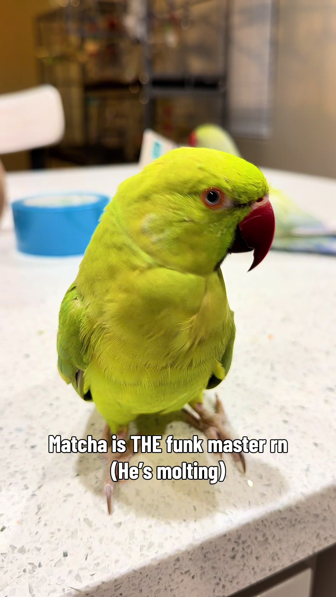 @sipandsquawk