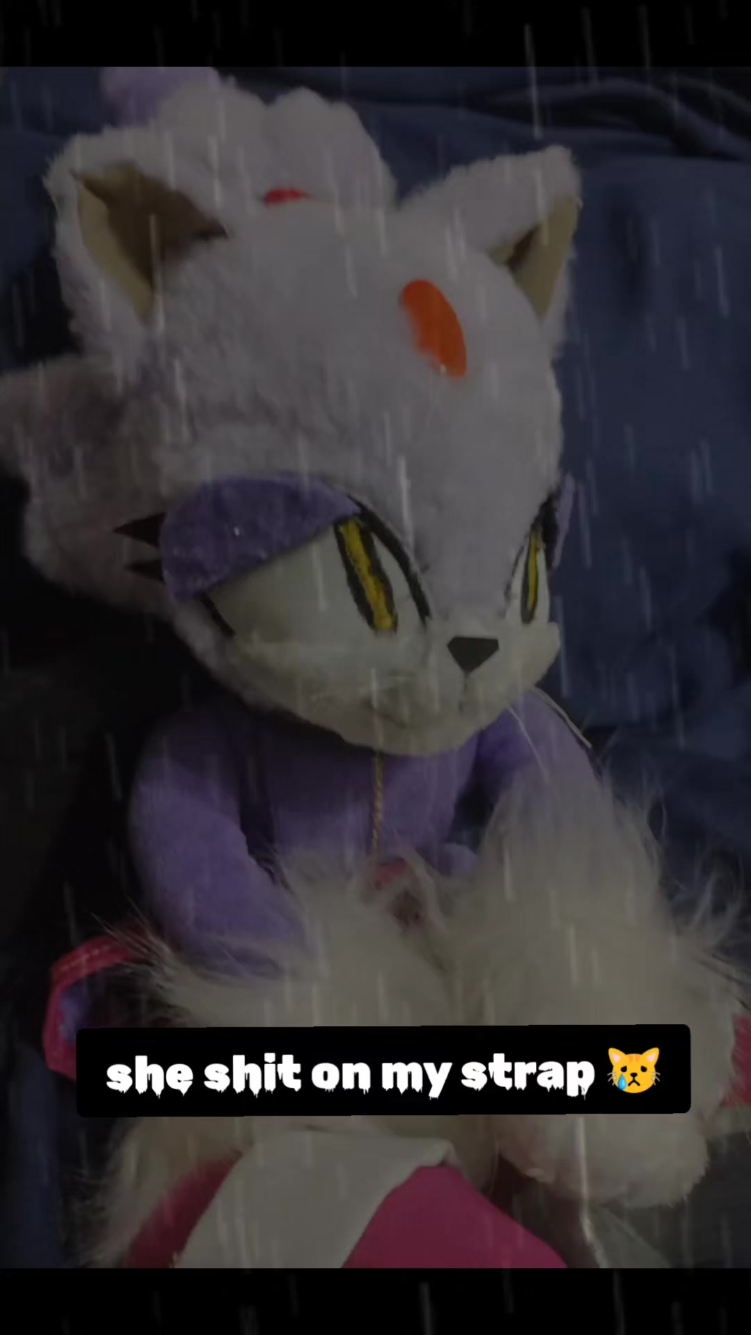 @Oneiros the cat