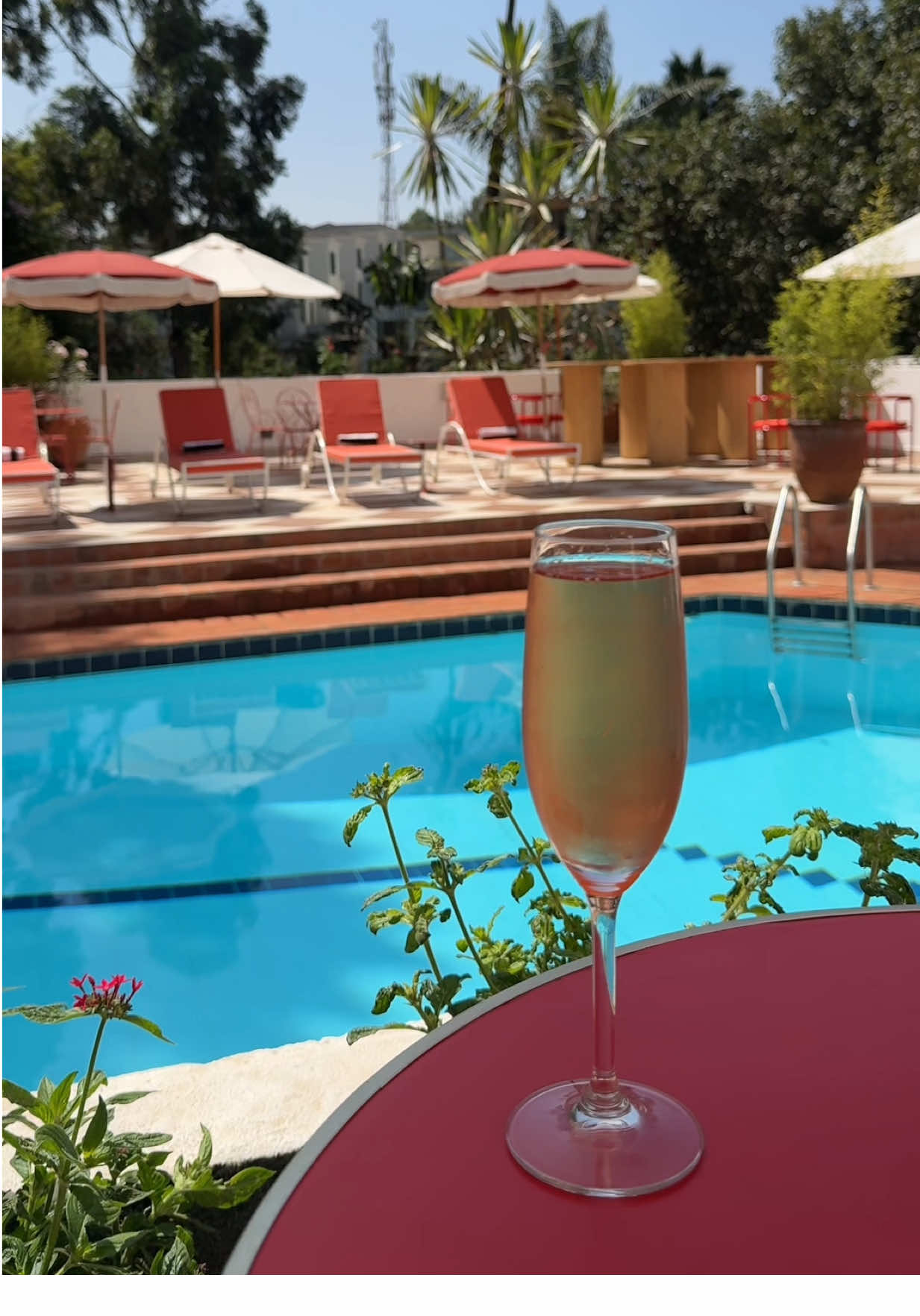 @Thisisosi